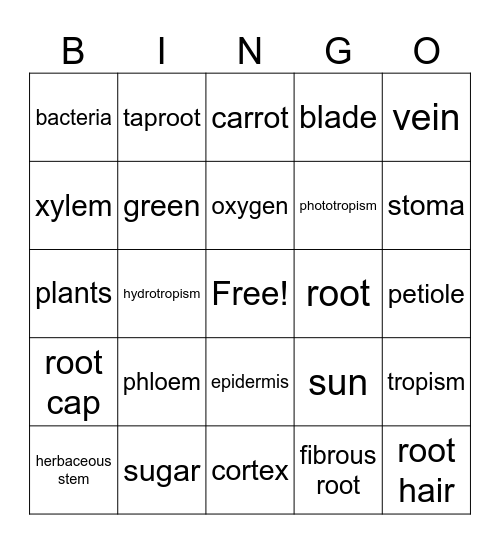 Chapter 9 Bingo Card