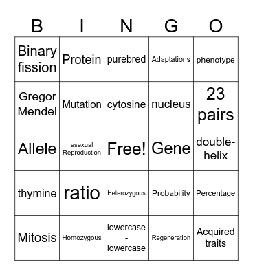 Genetics Vocabulary Bingo Card