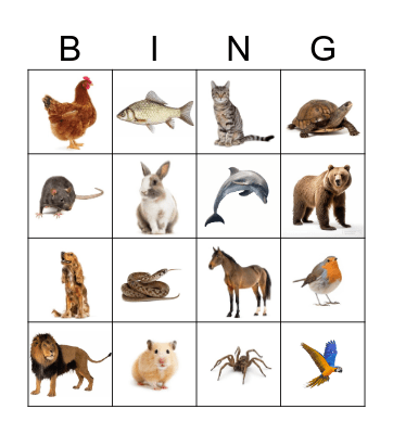 Animal bingo Card