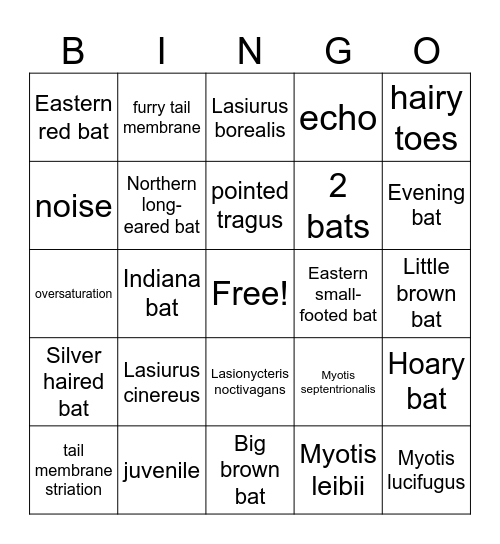 Bat Bingo Card