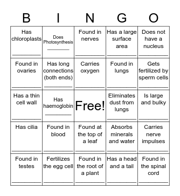 Specialized Cells Bingo Card