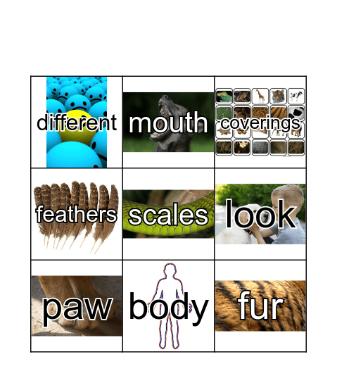 GR1 Unit5 Part1 REACH Bingo Card