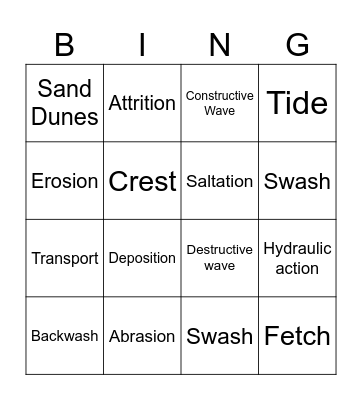 Coastal Processes Bingo Card