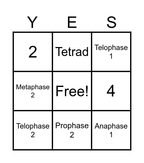 MEIOSIS   Y-E-S   Card Bingo Card