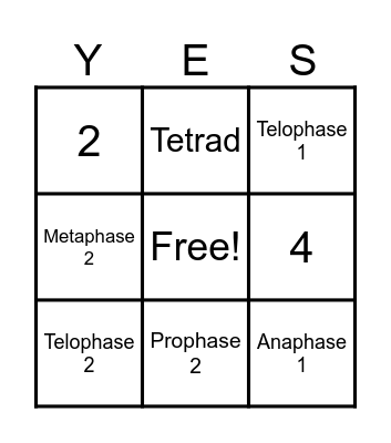 MEIOSIS   Y-E-S   Card Bingo Card
