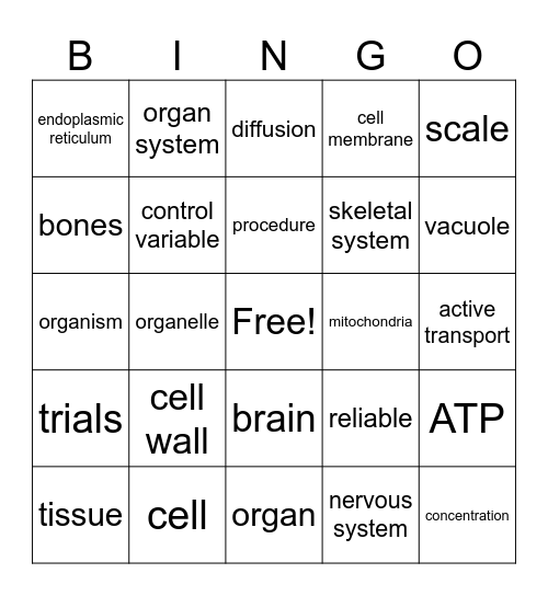 7th Grade Science Midterm Bingo Card
