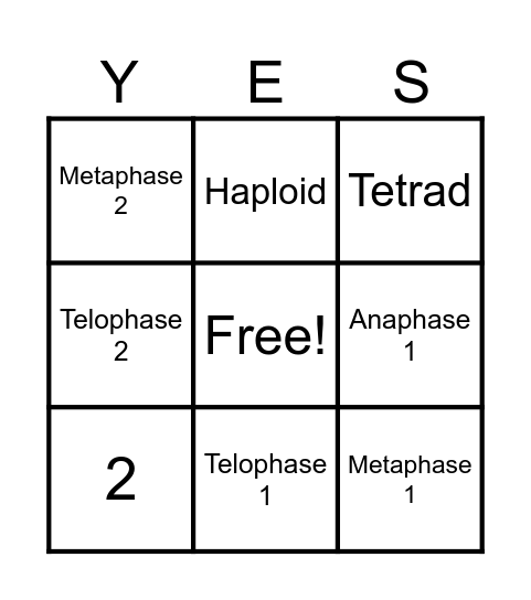MEIOSIS   Y-E-S   Card Bingo Card