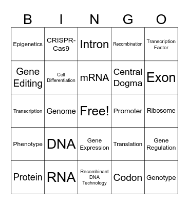Unit 1:Genetics Bingo Card