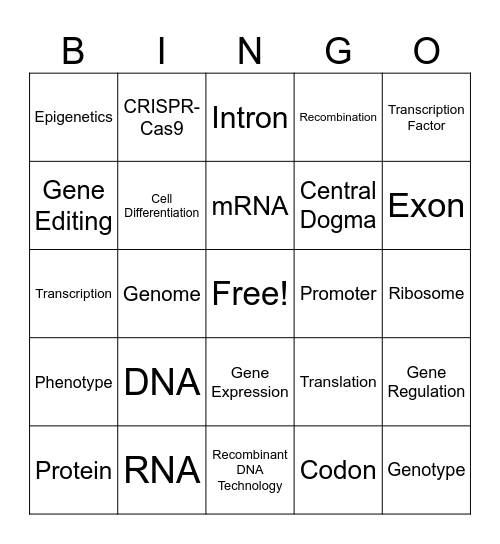Unit 1:Genetics Bingo Card