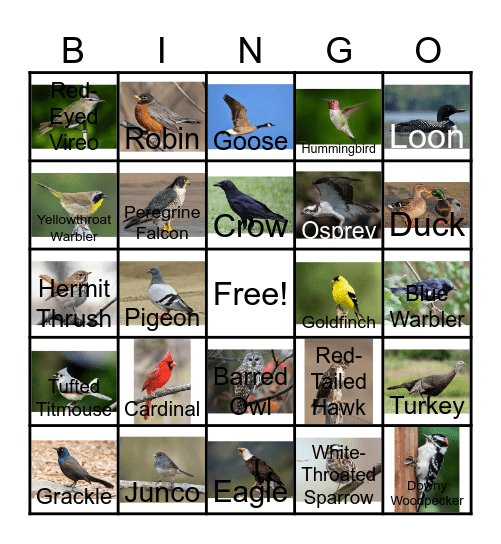 BIRD BINGO Card
