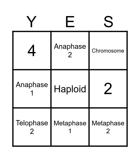 Meiosis Bingo Card
