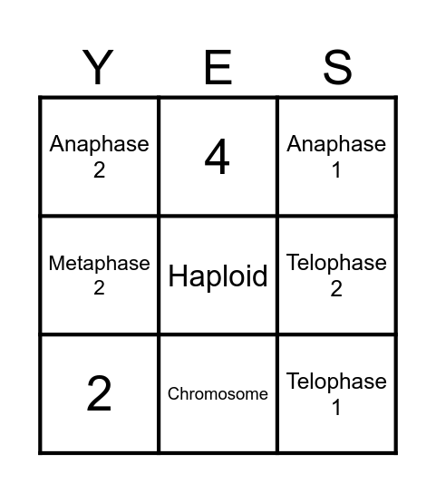 Meiosis Bingo Card