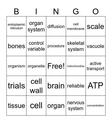 Midterm Review Bingo Card