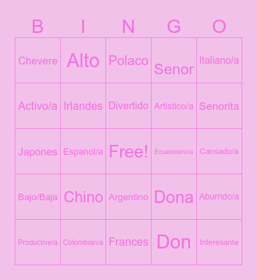 Personal Identify adjectives and Nationalitles Bingo Card