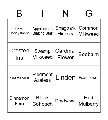 SC Native Plant ID Bingo Card