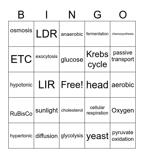 MIDTERM BINGO PART 2 Bingo Card