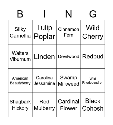 SC Native Plant ID Bingo Card