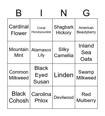 SC Native Plant ID Bingo Card