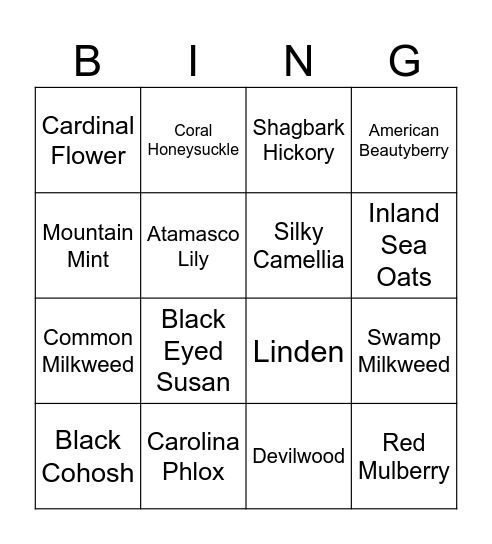 SC Native Plant ID Bingo Card