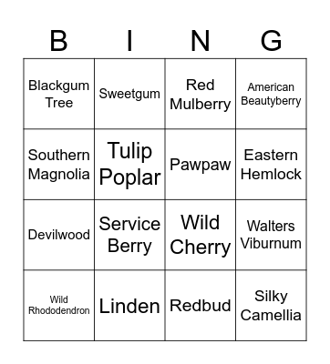 SC Native Trees & Shrubs Bingo Card