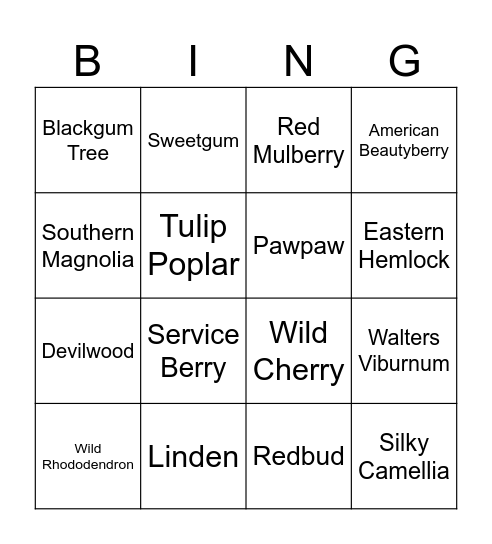 SC Native Trees & Shrubs Bingo Card