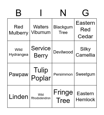 SC Native Plant ID Bingo Card