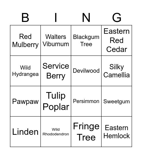 SC Native Plant ID Bingo Card