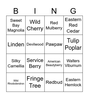 SC Native Plant ID Bingo Card