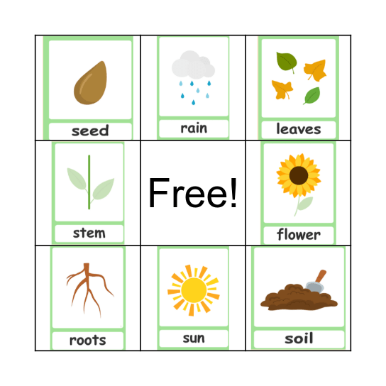 Plants Vocabulary Bingo Card