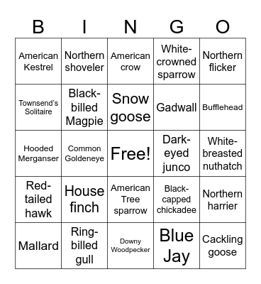 Winter Birding Bingo Card