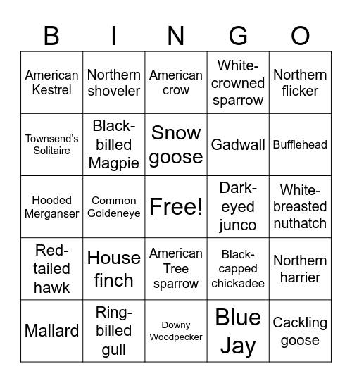 Winter Birding Bingo Card