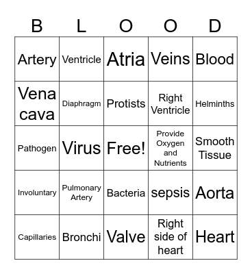 Nervous System Bingo Card