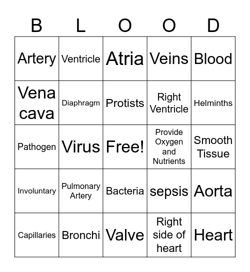 Nervous System Bingo Card