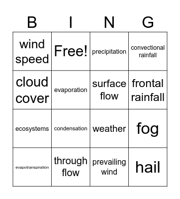 Y8 Geography - Weather and Climate (2) Bingo Card