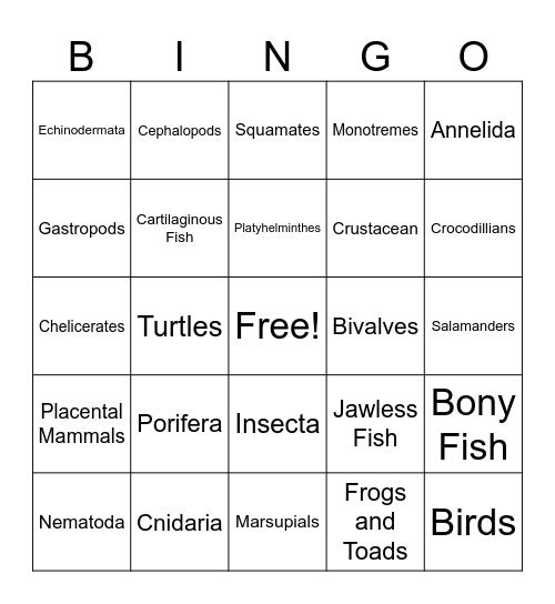 Animal Phylum Bingo Card