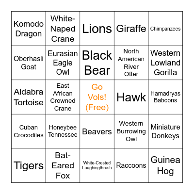 J&M January Zoo Retreat Bingo Card