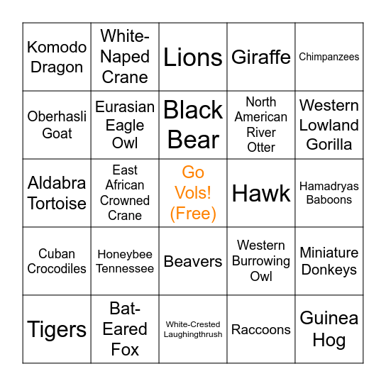 J&M January Zoo Retreat Bingo Card