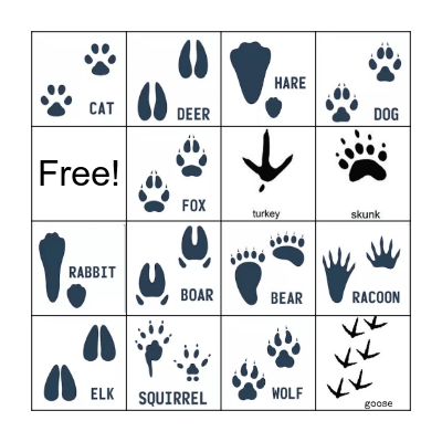 Animal Tracks Bingo Card