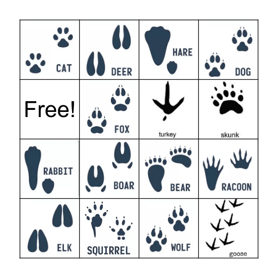 Animal Tracks Bingo Card