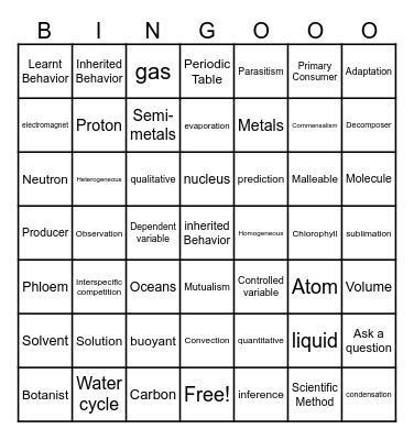 Review Bingo Card