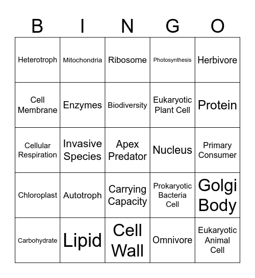 Fall Final Exam Review Bingo Card