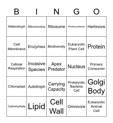 Fall Final Exam Review Bingo Card
