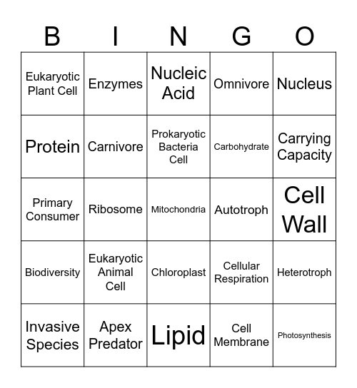 Fall Final Exam Review Bingo Card