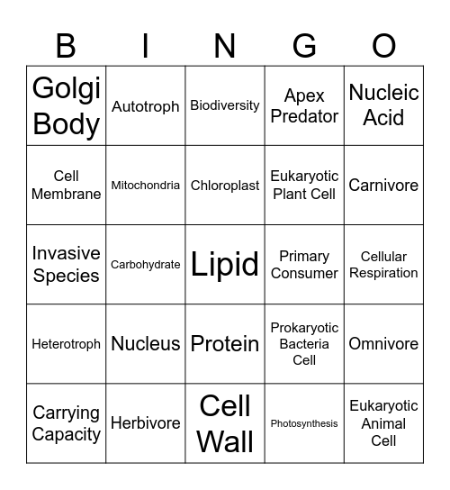 Fall Final Exam Review Bingo Card