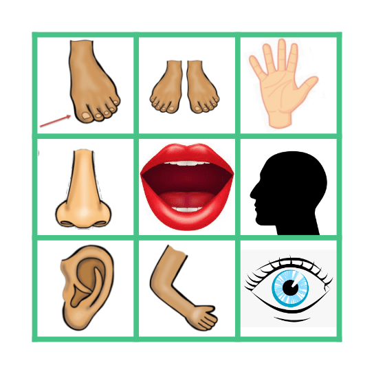 BODY PARTS Bingo Card