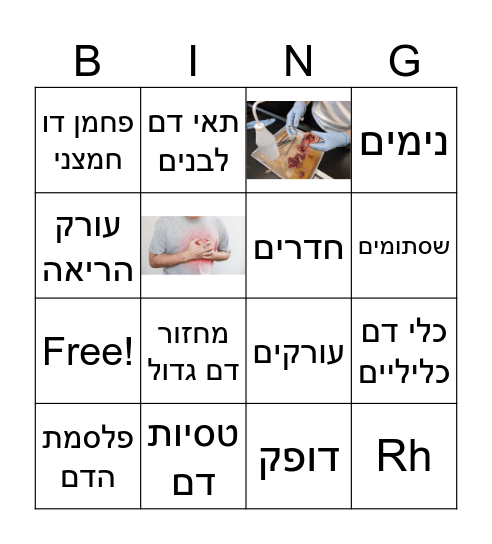 מערכת ההובלה Bingo Card