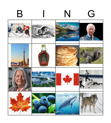 Canada Bingo Card