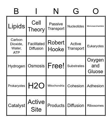 BIOLOGY BINGO A Bingo Card