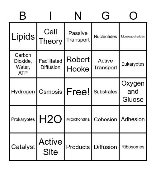 BIOLOGY BINGO A Bingo Card
