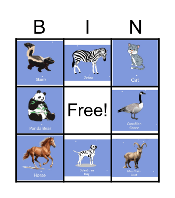 P. Bears New Years Party Bingo Card